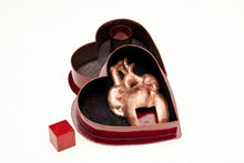 Load image into Gallery viewer, Slothmade: Heart-Shaped Box